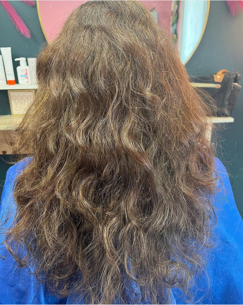Before — damaged hair